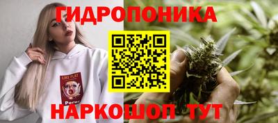 ПСИЛОЦИБИНОВЫЕ ГРИБЫ Свободный