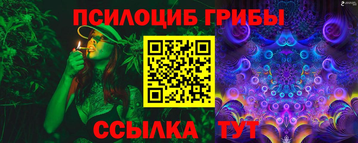 Галлюциногенные грибы Psilocybe Астрахань