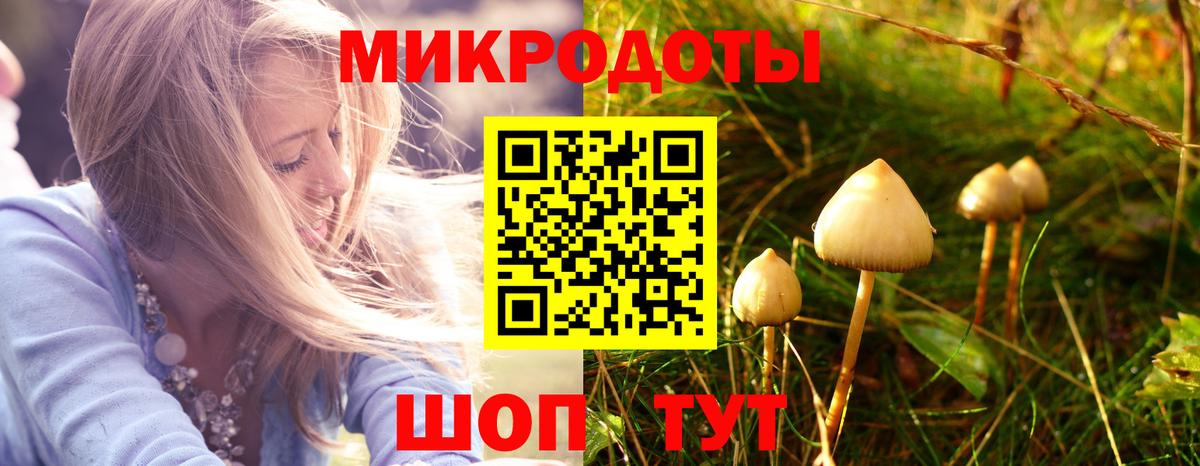 Галлюциногенные грибы мицелий  Вход с VPN  Астрахань  Галлюциногенные грибы Magic Shrooms 